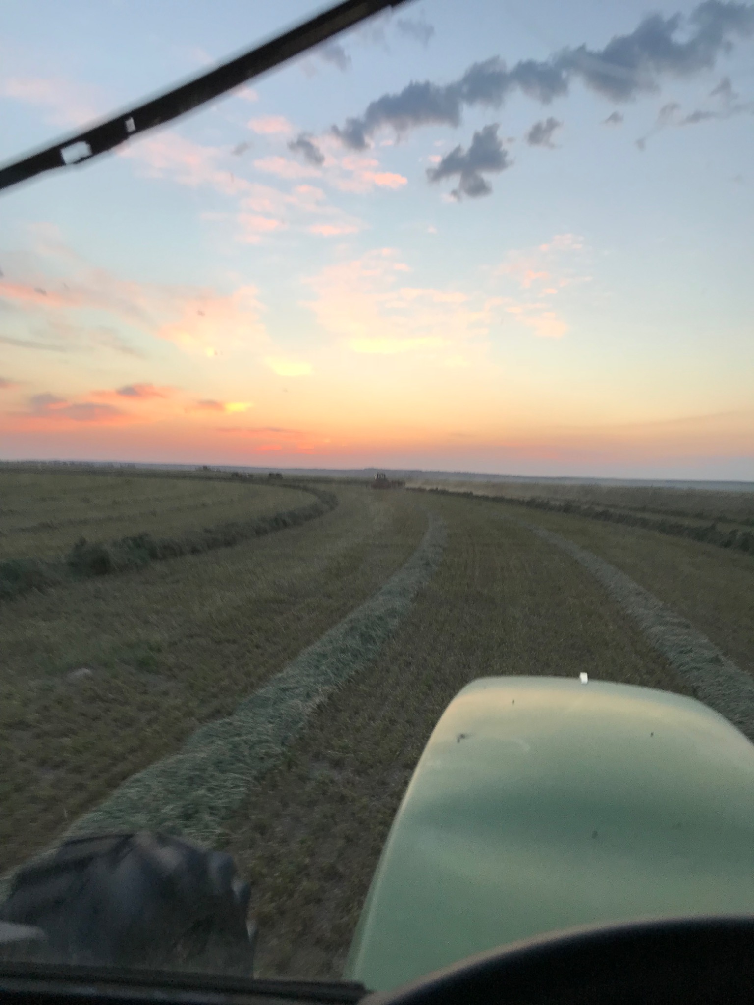 View from a tractor across rows of cut hay at sunset